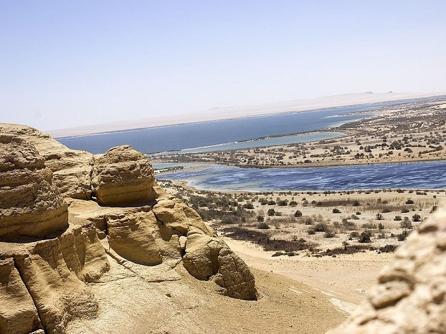 Wadi El Rayan Nature Protectorate Archiqoo