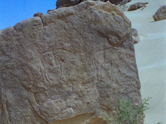 Rock Drawings in Aïr and Ténéré