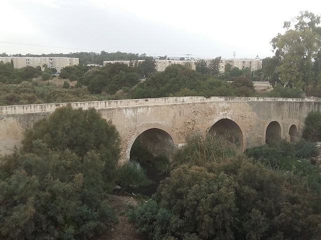 Oued Miliane Bridge