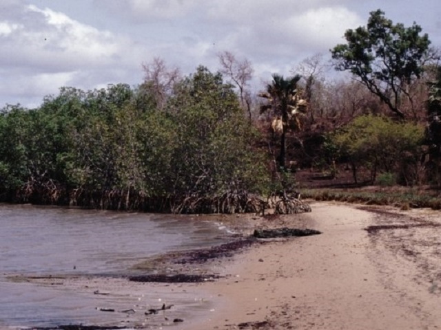 Kiang West National Park | Archiqoo