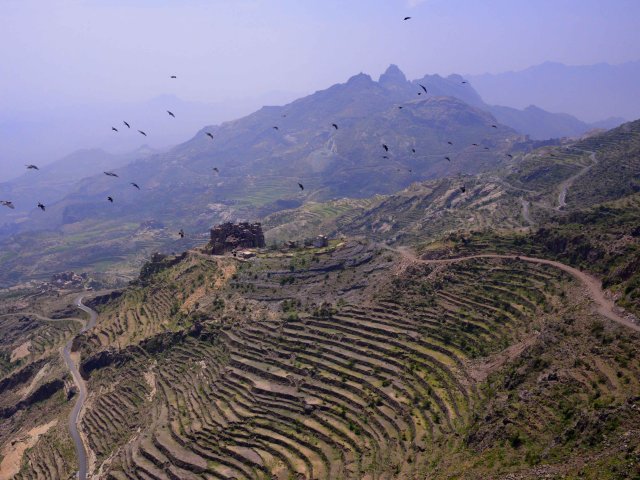 المدرجات الزراعية في اليمن