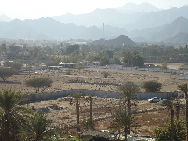 Al Bidya Tombs