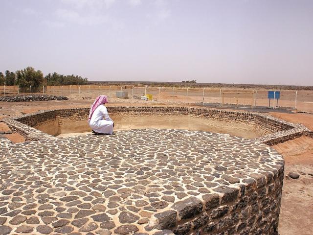 Al-Shahiyyat Pool