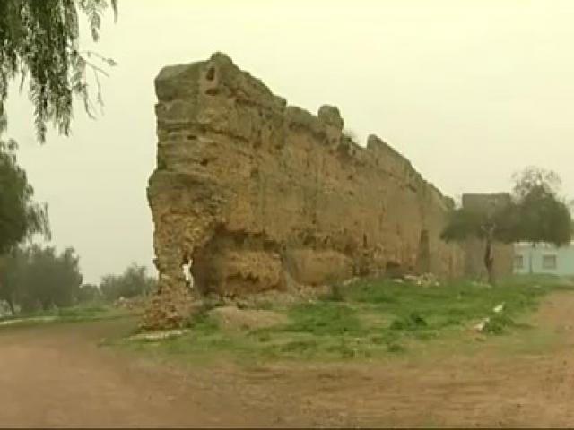 Almohad Wall in Sour