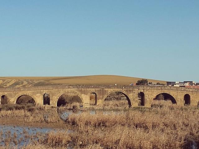 Andalusian Bridge