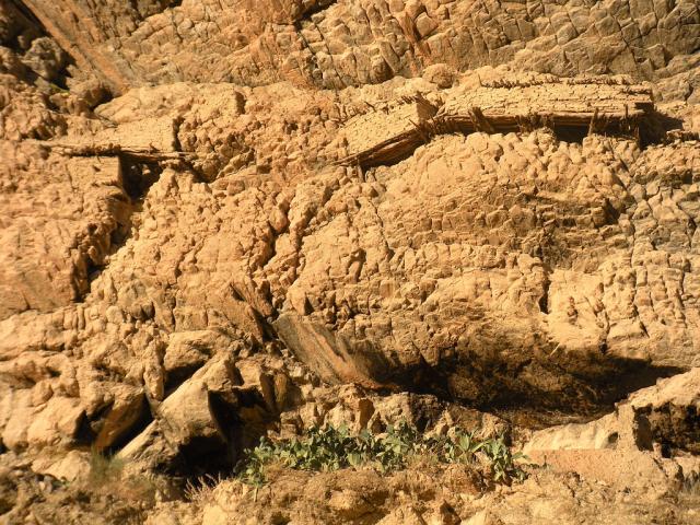 Cave Dwellings in Maâfa