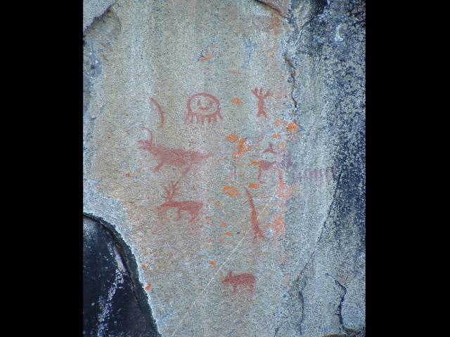 الرسوم الصخرية في فيري بوينت