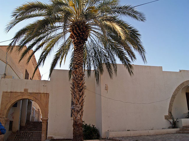 Gafsa