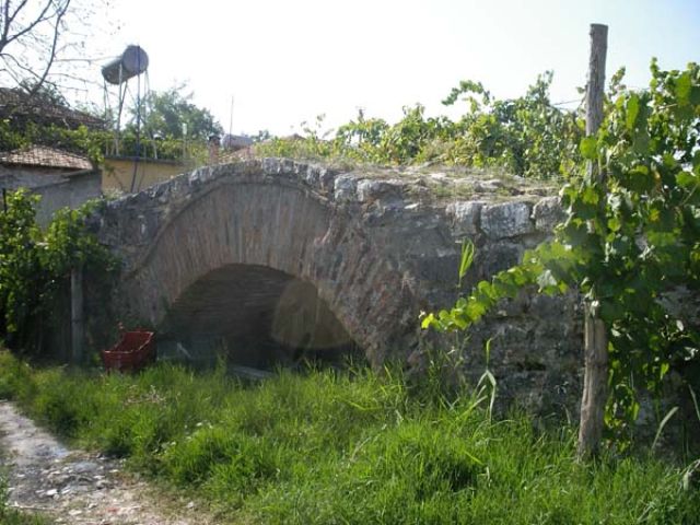 Kauri Bridge