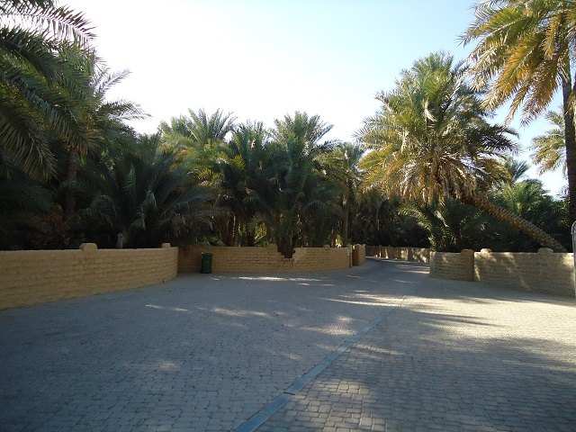 Oases Areas in Al Ain