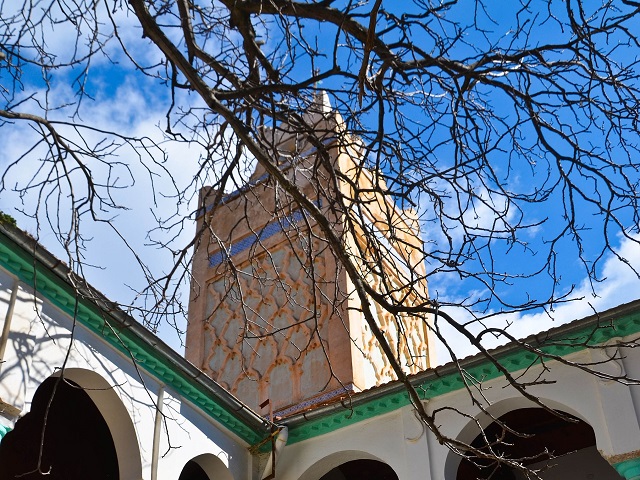 مسجد سيدي أحمد بن يوسف
