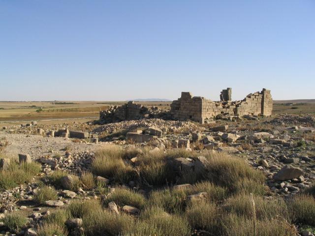 Sidi Amara