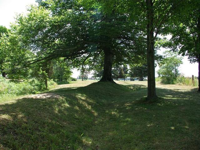 موقع الأعمال الترابية في ساوث وورلد