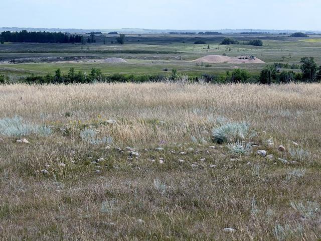 حديقة وانوسكوين التراثية 