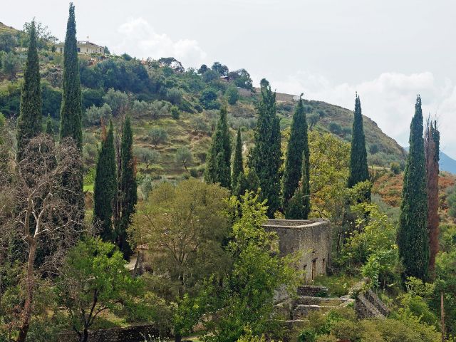 مجمع ومسجد الملك في دلفينا