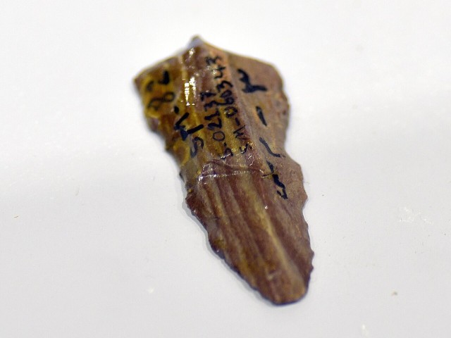 Zarzi Cave