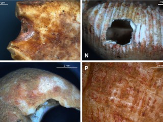 Paleolithic Ornaments Reveal Identity and Mobility in Northern Spain