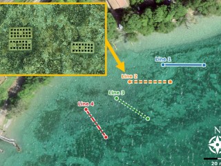 Flash Lidar Technology Opens New Possibilities for Underwater Archaeology