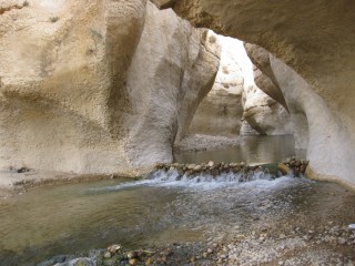 Larger Grains Did Not Necessarily Mark the Start of Farming