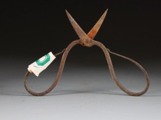 Traces of Ancient Anaesthetic Found on Ming Dynasty Surgical Tools