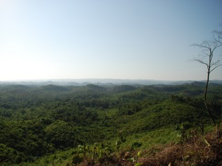 From Wetlands to Hillsides: How Early Maya Farmers Reshaped the Landscape