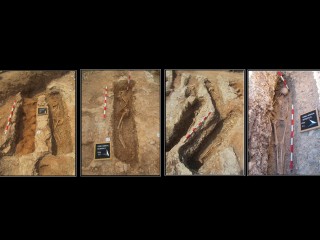 From River Fish to Livestock: How Muslim Diets Changed in Medieval Spain