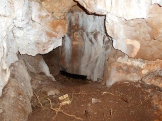 تحليل الحمض النووي يكشف أن أقدم بقايا بشرية في شمال بريطانيا تعود لطفلة صغيرة