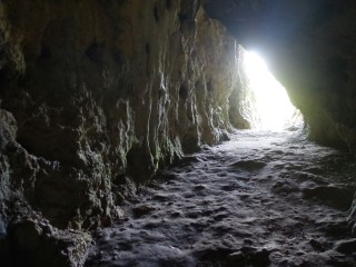 New Genetic Evidence Reconstructs Early Neanderthals in Central Eastern Europe