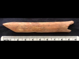 Animal Bones Reveal Stone Blades Still Dominated Butchery in Early Dynastic Iraq