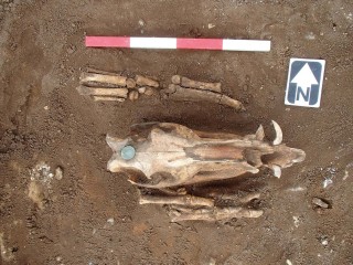 Roman Shrine Reused a Bronze Age Barrow in Suffolk