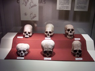 Ancient DNA Reveals Migration and Family Burial Traditions in Pre-Inca Peru