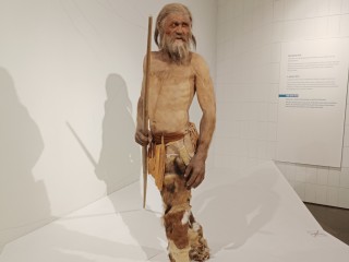 New Study Reveals the Iceman’s Microbiome Is Still Changing