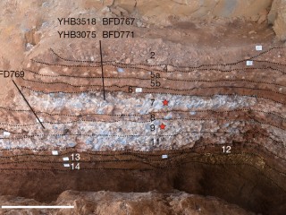 Ancient Proteins Reveal Major Denisovan Fossil Site in Southwest China