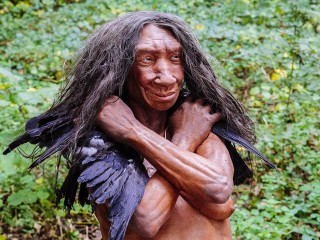 New Genetic Study Challenges Views of Neanderthal Decline