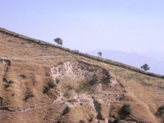 New Dates Rewrite the Early Human Story of Central Asia