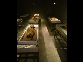 Study Estimates Manganese Used in Ancient Chinchorro Mummification