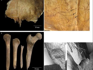 Iron Age Burials in Scotland Reveal Unusual Funerary Practices and Long-Distance Links