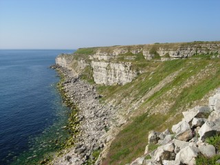 Why Jurassic Coast and Isle of Wight Are Fossil Hotspots