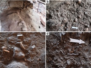 Canary Islands Site Reveals Specialized Medieval Marine Processing