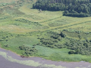 Stone Age Burials in Latvia Point to Specialized Work Roles