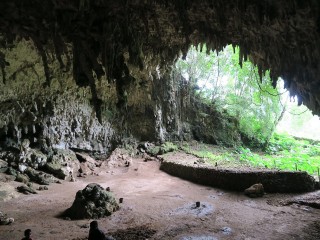 New Evidence Challenges Ideas About the Hunting Skills of Homo floresiensis