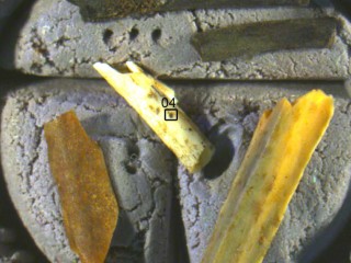 New Evidence Pushes Early Fire Use at Wonderwerk Cave Further Back