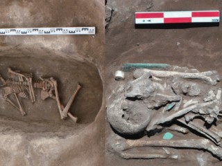 Ancient DNA Reveals Plague Spread Across Eurasia 5,300 Years Ago
