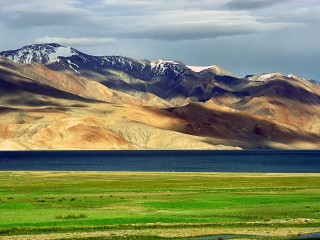Cooling Reshaped Farming on the Tibetan Plateau