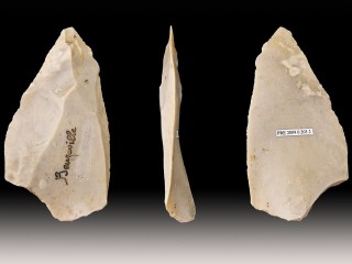 Stone Tools Suggest Neanderthals Reached Northern Arabia Around 55,000 Years Ago
