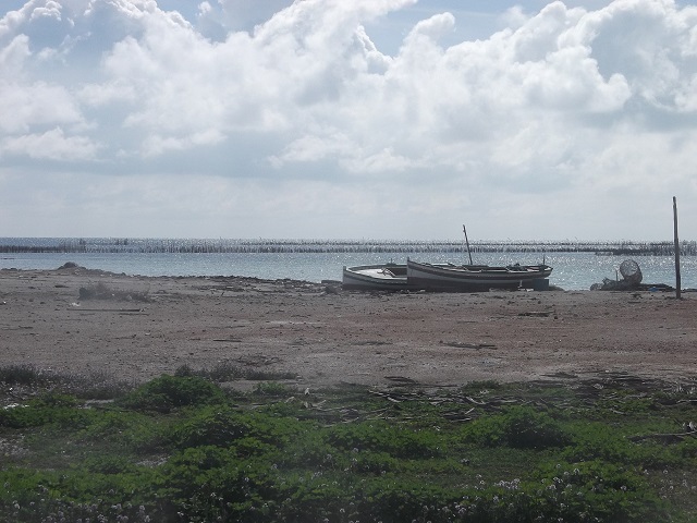 Charfia Fishing in the Kerkennah Islands | Archiqoo