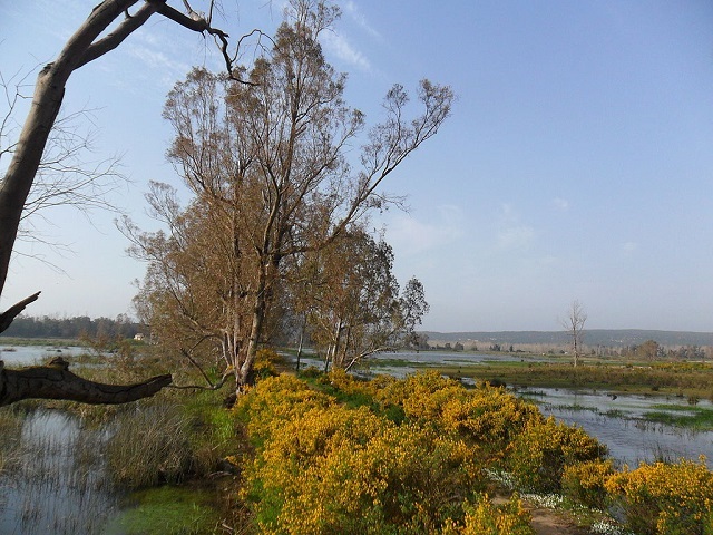 El Kala National Park