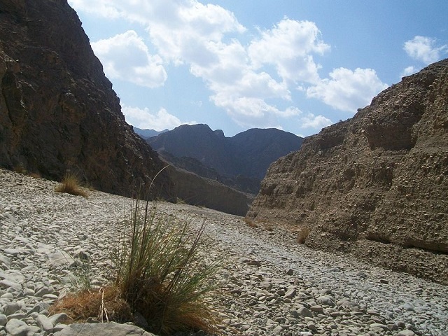 Wadi Wurayah National Park | Archiqoo